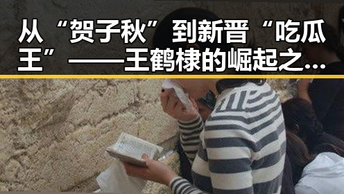 从“贺子秋”到新晋“吃瓜王”——王鹤棣的崛起之路引发热议