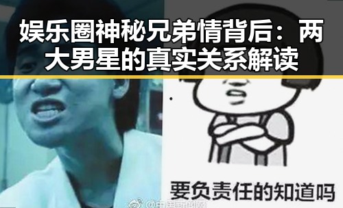 娱乐圈神秘兄弟情背后：两大男星的真实关系解读
